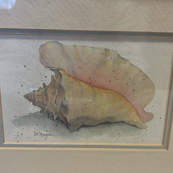 (3) D Morgan seashell framed prints - Picture 4 of 7